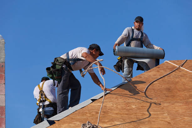 Best Roof Gutter Cleaning  in Eureka, MO